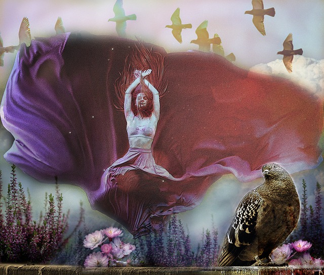 对大学球队 对大学球队