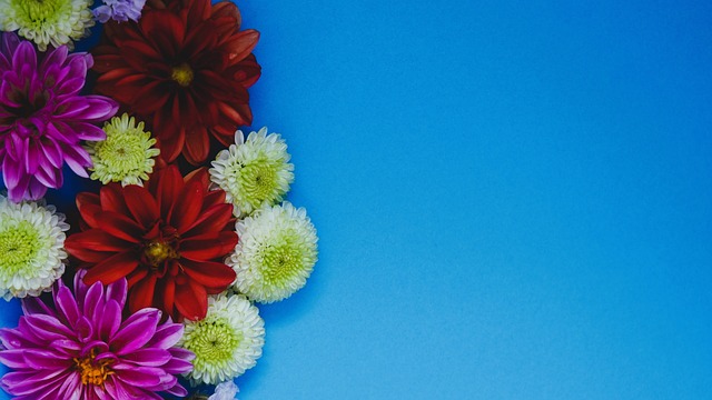 经走上复兴 经走上复兴