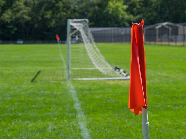 了关于运动 了关于运动