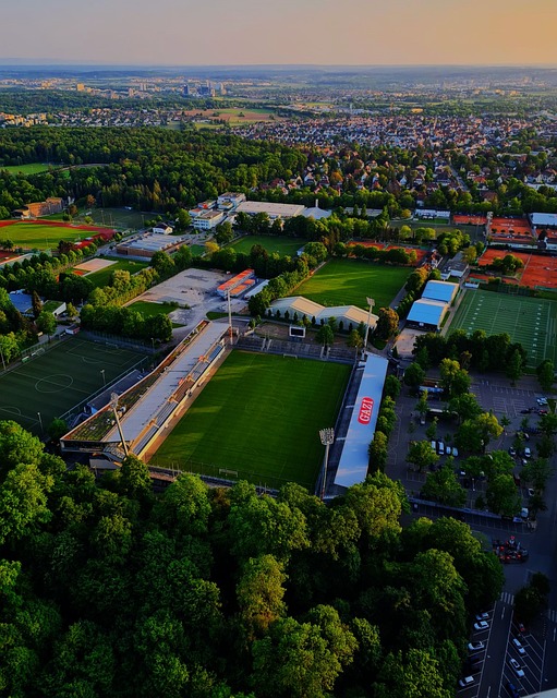 培养体系无 培养体系无