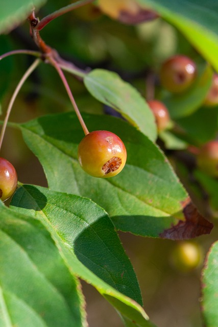 場教科書式 場教科書式