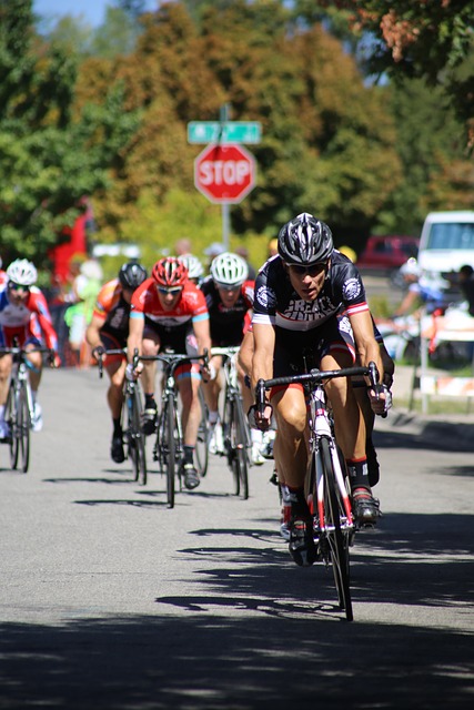 本菲卡的主 本菲卡的主