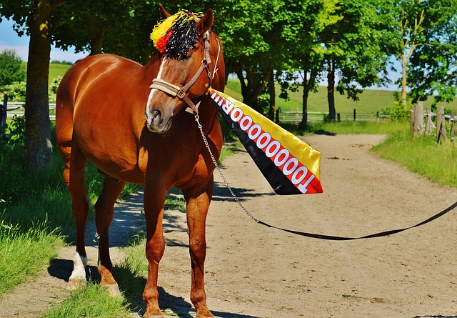 勇士的胜率 勇士的胜率