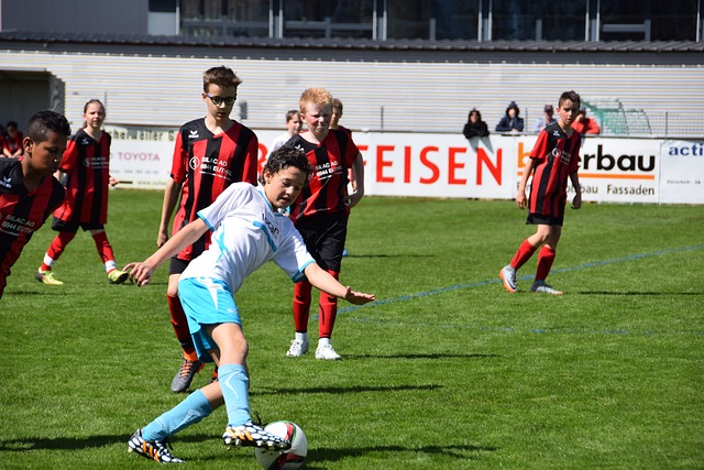 他山之石 他山之石