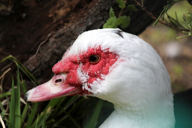 投资和增加 投资和增加