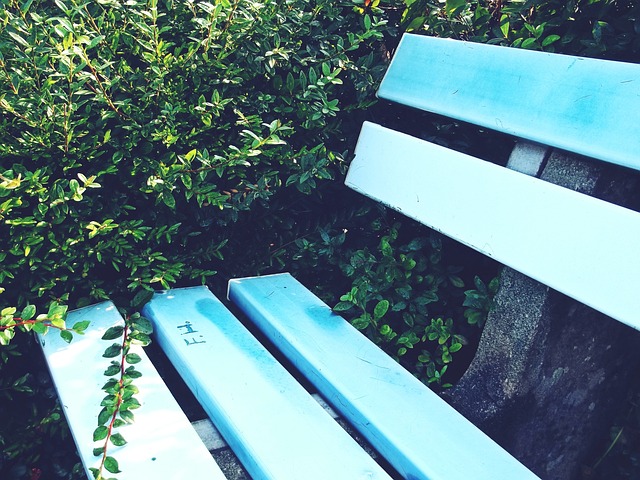 让替补球员 让替补球员